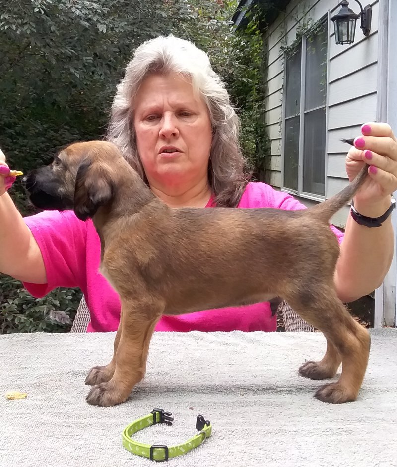 Green Boy 4 Weeks.jpg - 2203 K